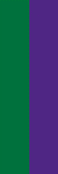 Image 1 Vertical green and purple stripe
