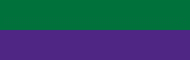 Image 2 horizontal green and purple stripe