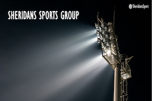 Opportunities and Challenges for The Sports Industry in the Digital Age