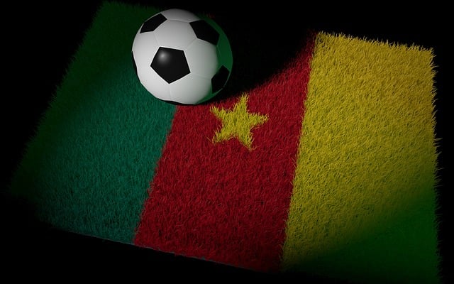 Cameroon Flag and Football