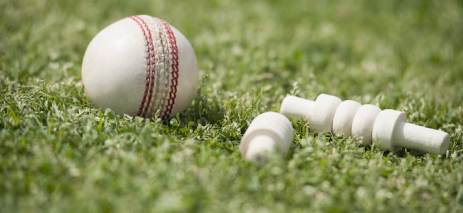 Cricket ball and wickets on grass