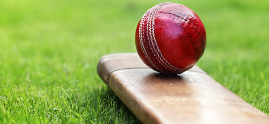 Cricket ball on bat resting on grass