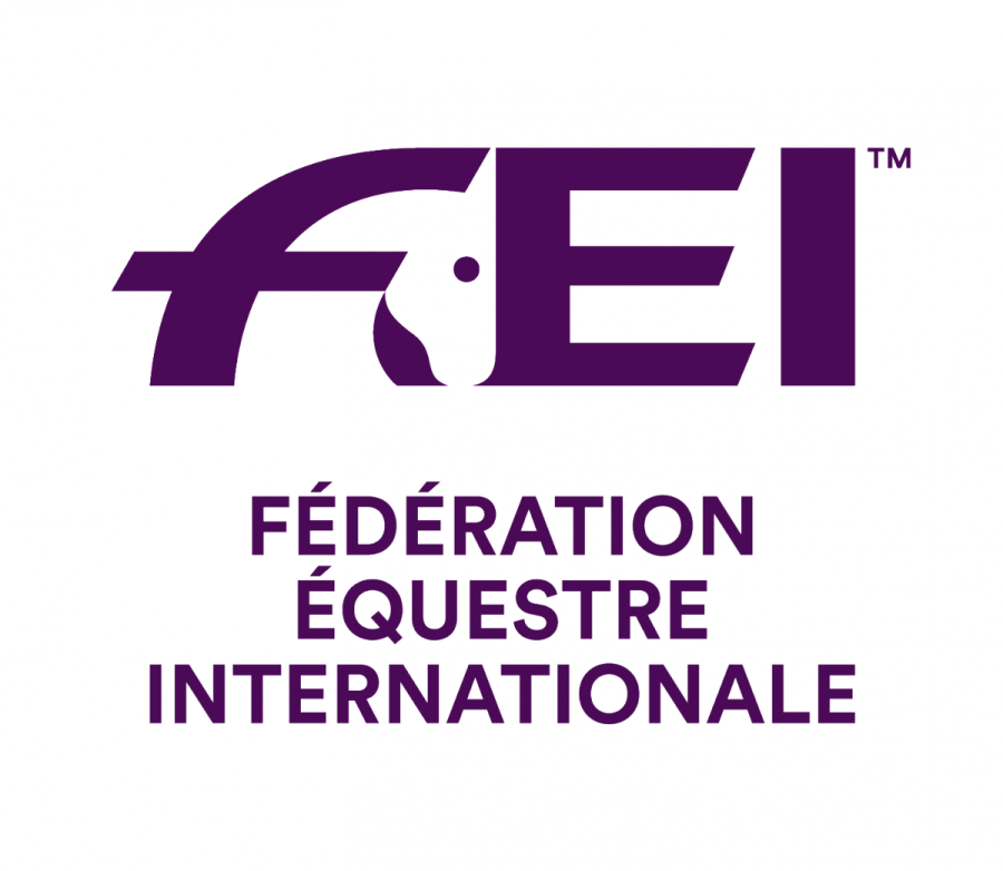 FEI Logo