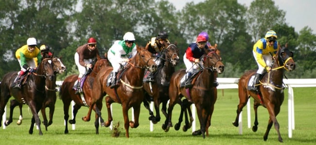 Horseracing