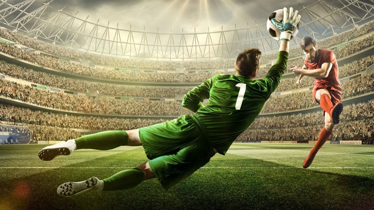 Goalkeeper saving shot