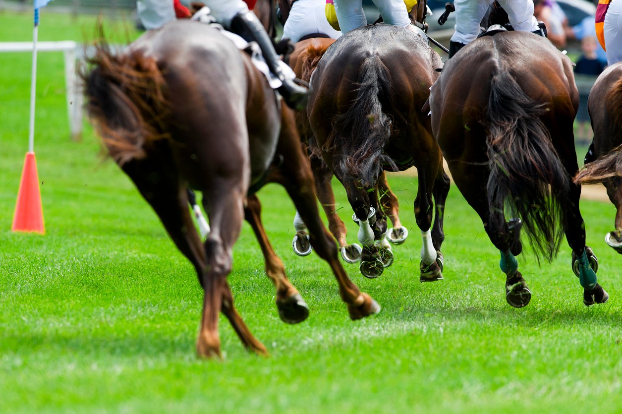 Horseracing