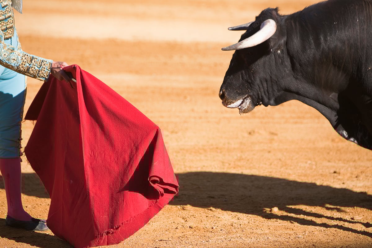 Matador and bull