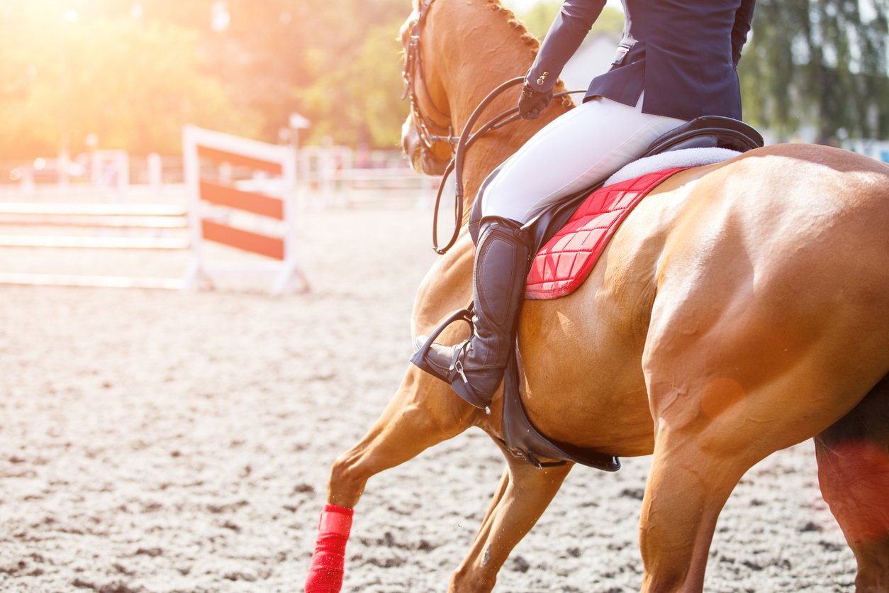Horse Rider