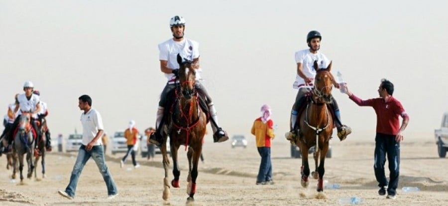UAE_Endurance_Racing UAE_Endurance_Racing