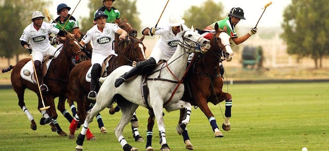 UAE Polo