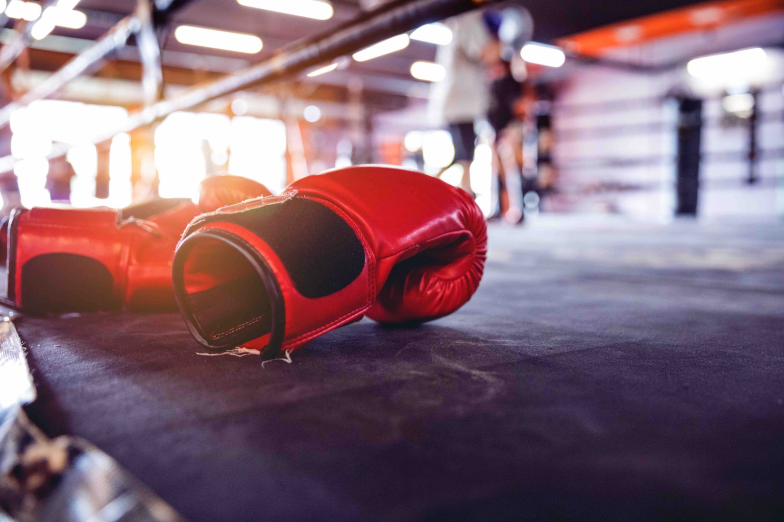 Boxing Gloves