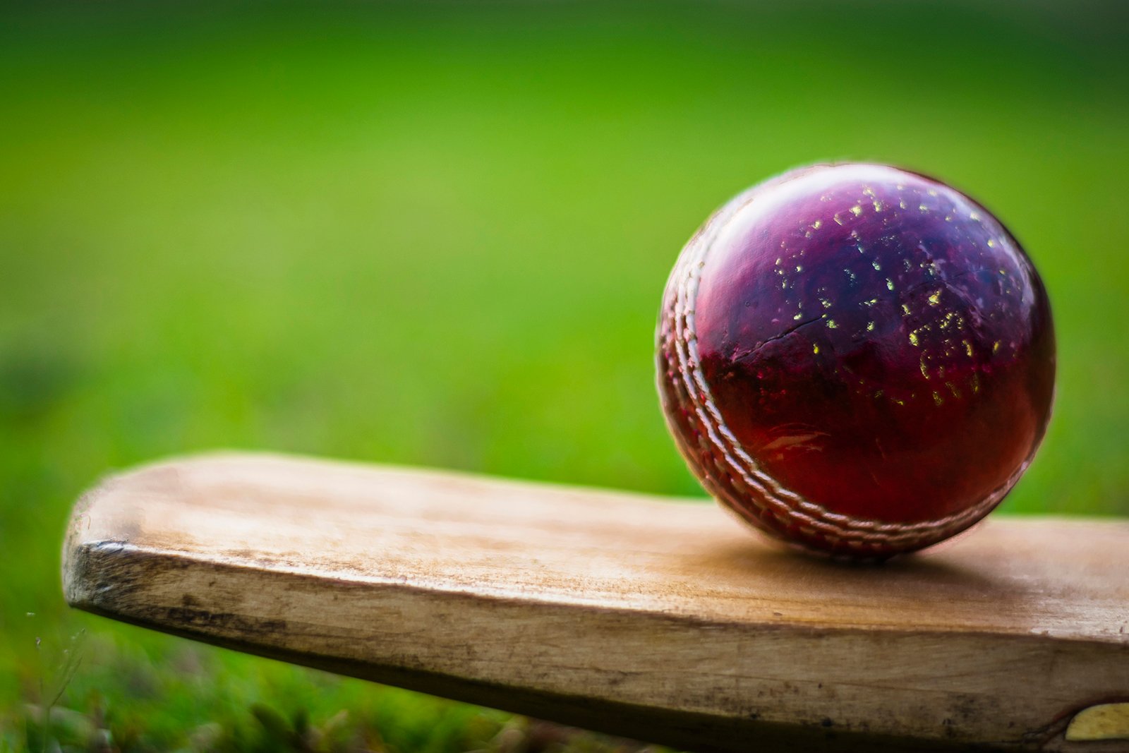 Cricket Bat
