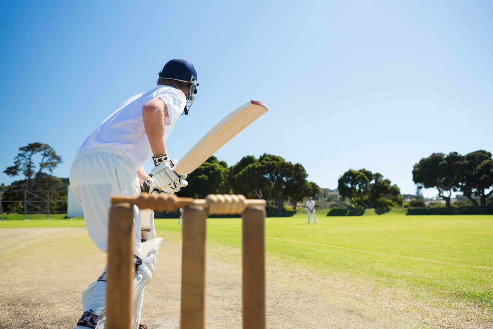 Cricket Player