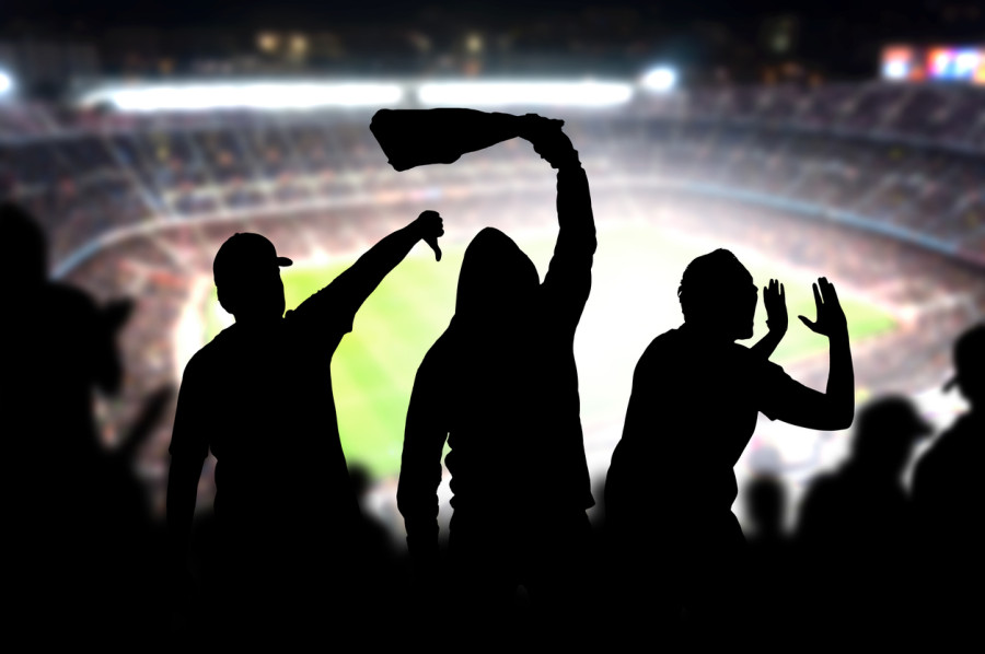 Title Image of Fan Abuse, Liability & 