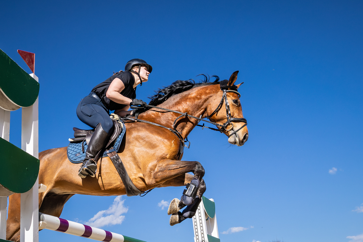 Title Image of Sport horse leasing: key legal and practical considerations for owners and riders