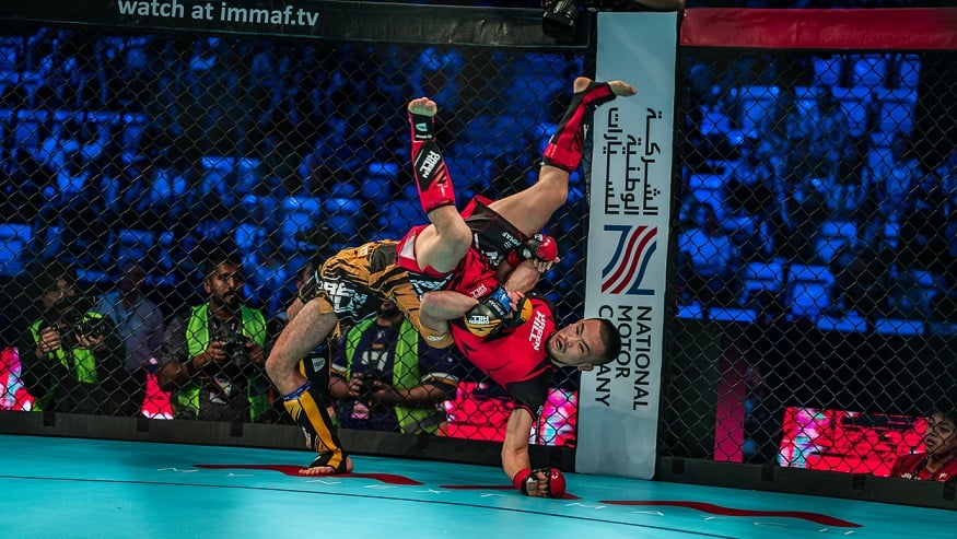 IMMAF CEO comments on Council of Europe’s new recommendations on Martial Arts & Combat Sports