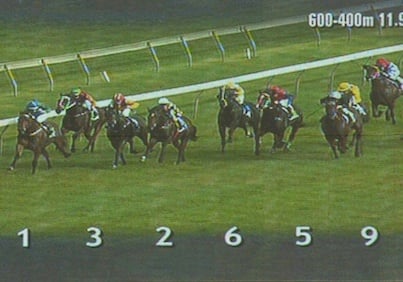 French Competition Authority Issues..