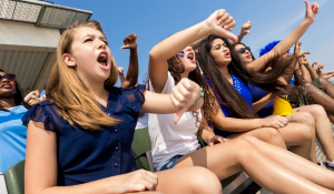 Angry Sports Fan