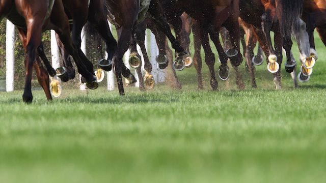 Horseracing