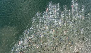 Triathlon participants swimming