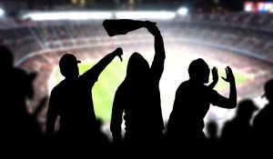 Title Image of Fan Abuse, Liability & "All Reasonable Steps